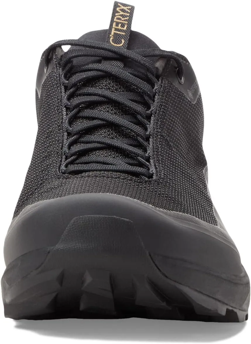Aerios FL 2 GTX Arc'teryx Hiking Shoes, Black/Black